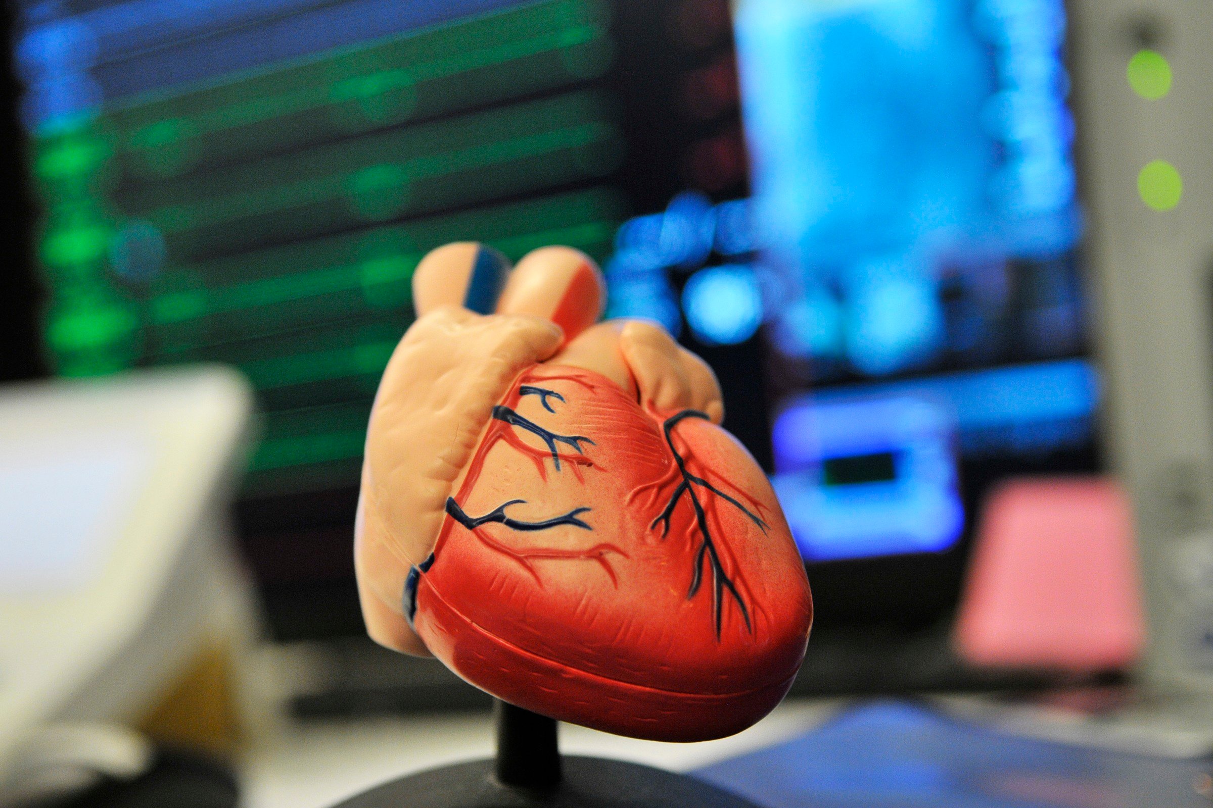 heart model in front of screens