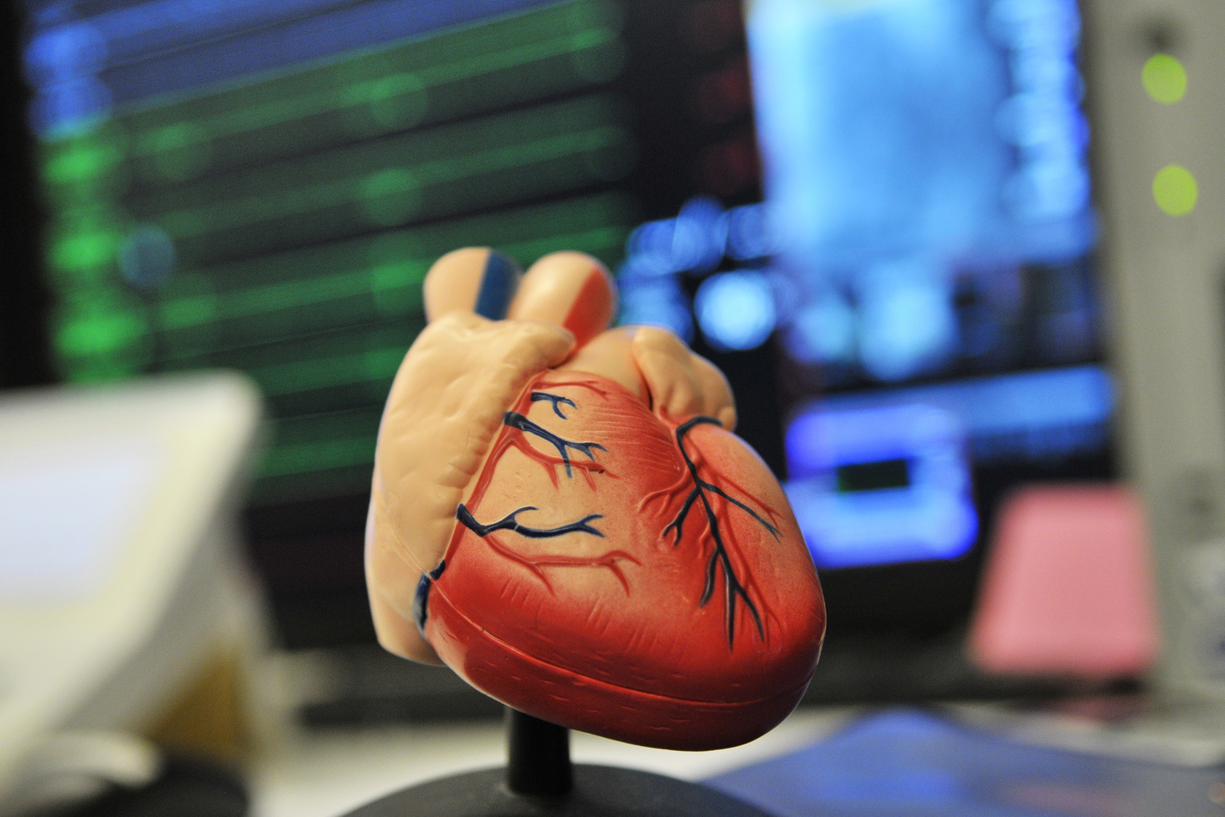 heart model in front of screens